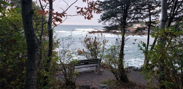 Romantic bench overlooking the ocean