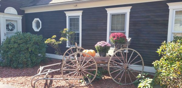 Flag-themed horse-drawn carriage