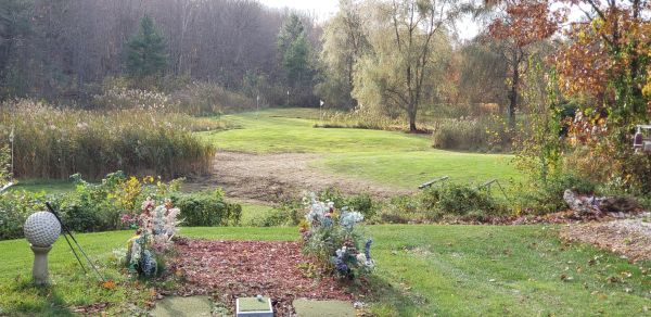 Sunny golf course landscape