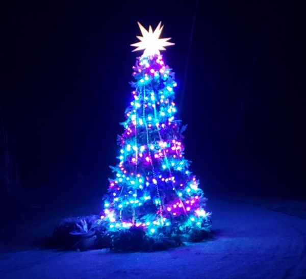 Festive Christmas tree with glowing lights